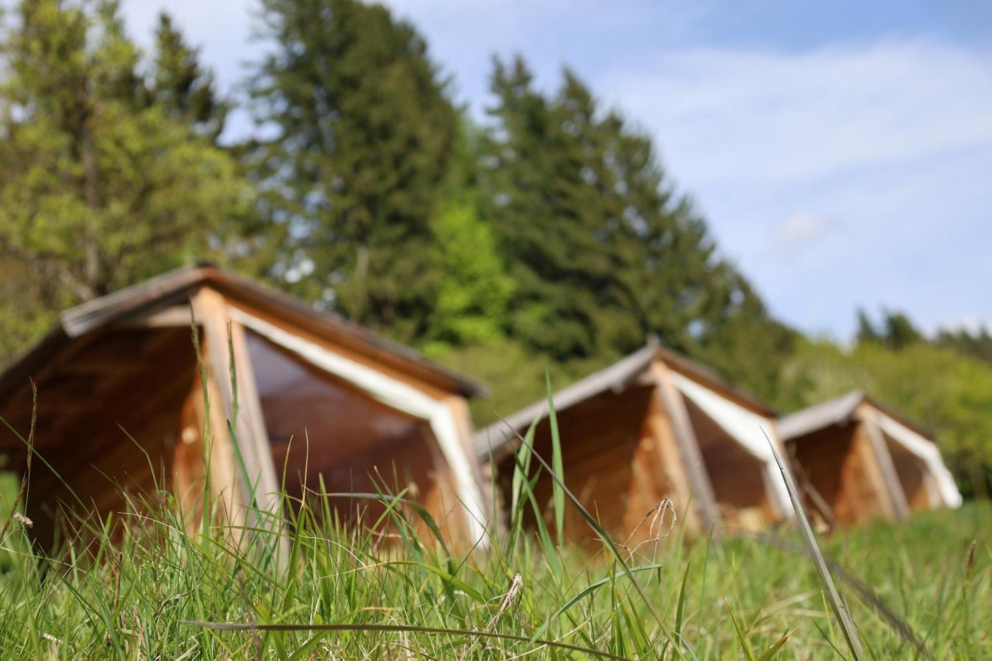 도브예 Mountain View Glamping 빌라 외부 사진