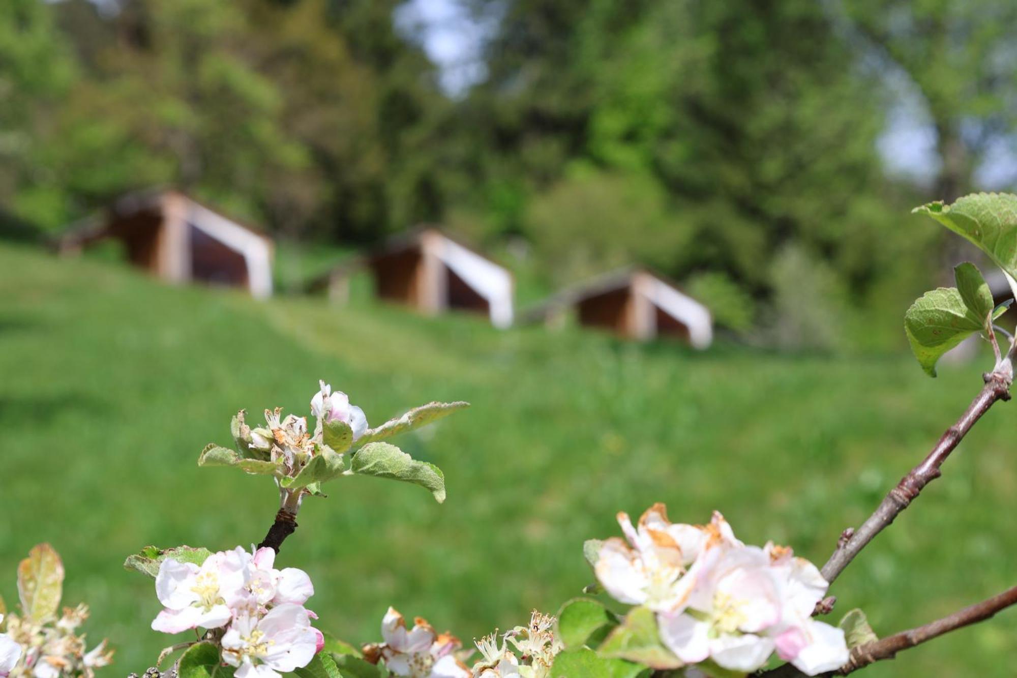 도브예 Mountain View Glamping 빌라 외부 사진