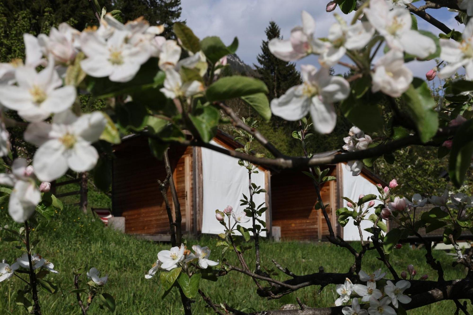 도브예 Mountain View Glamping 빌라 외부 사진