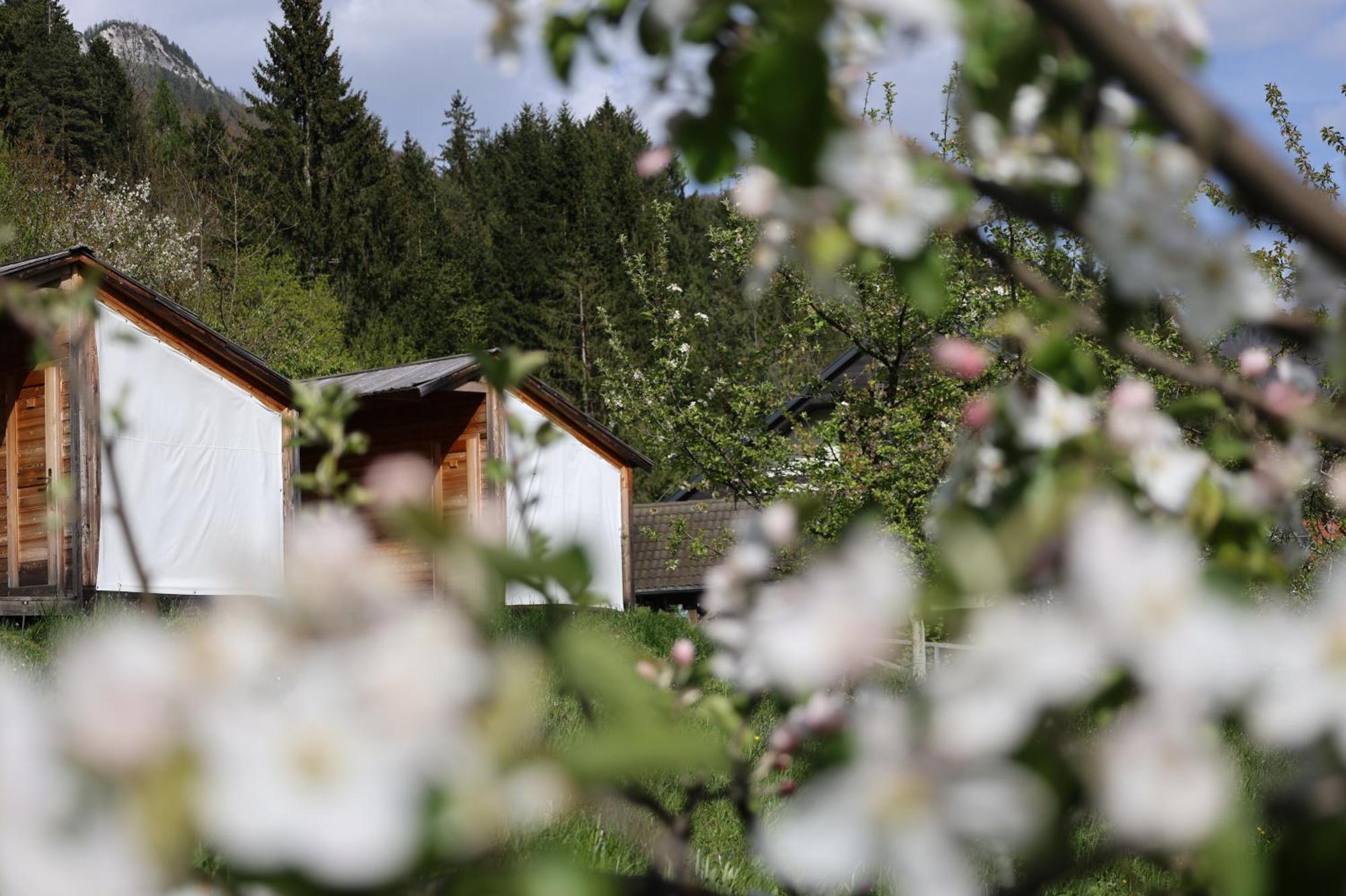 도브예 Mountain View Glamping 빌라 외부 사진