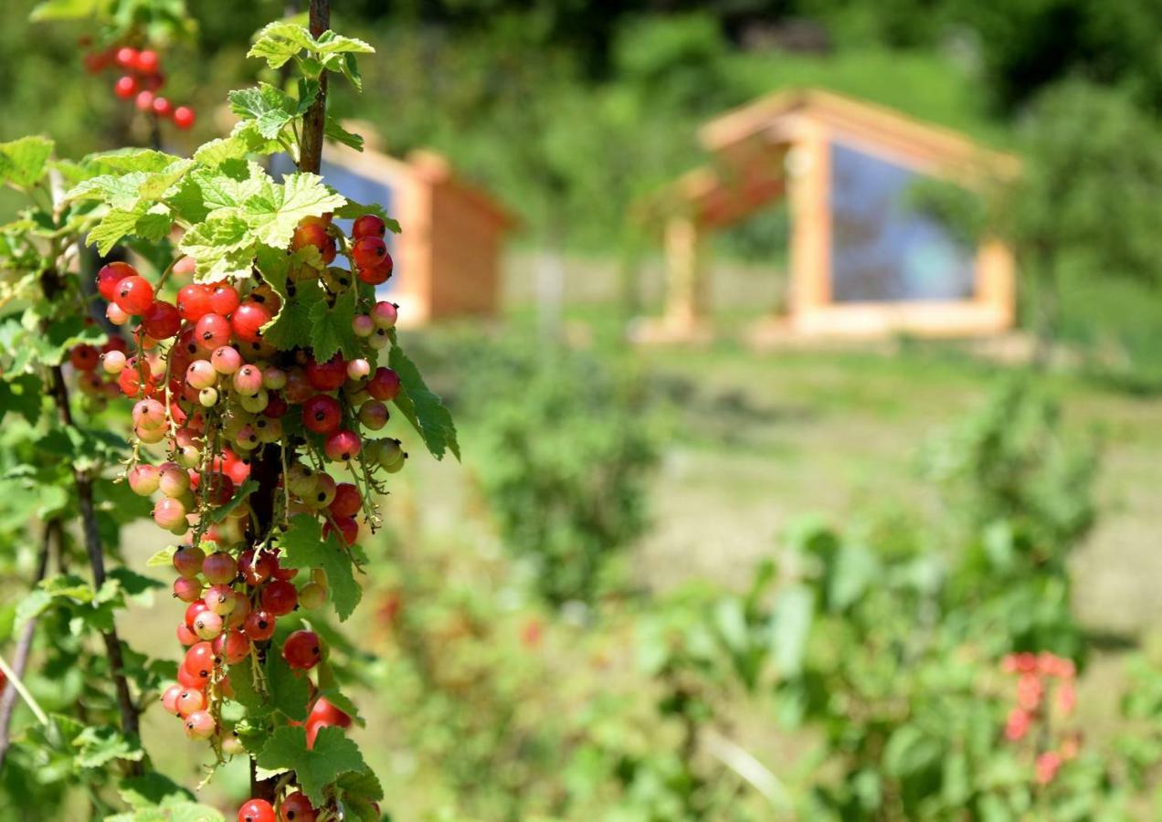 도브예 Mountain View Glamping 빌라 외부 사진